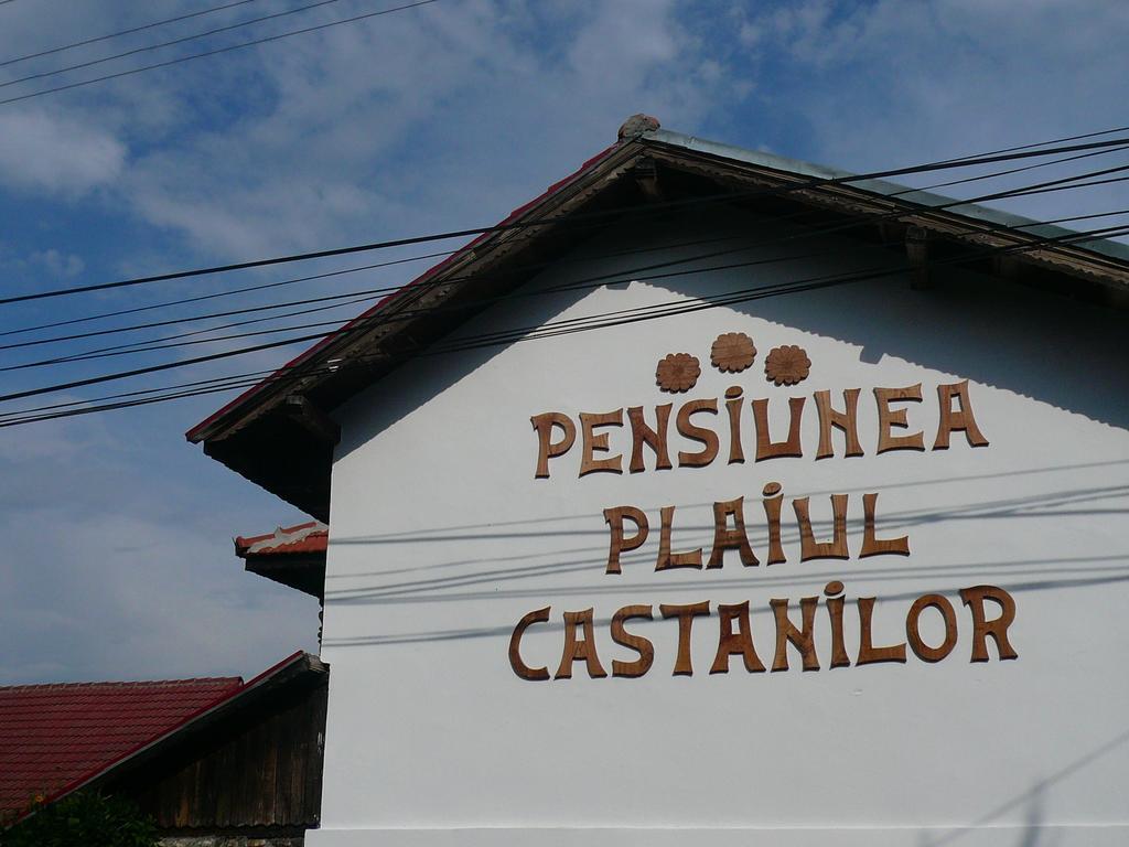 Agro-Pensiunea "Plaiul Castanilor" Villa Tismana Dış mekan fotoğraf